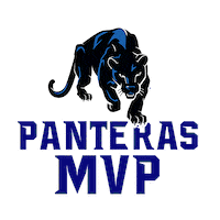 American Football Sticker by PanterasPuebla
