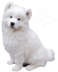 Puppy Sammy Sticker
