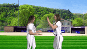 Warriors Softball GIF by WinonaStateATH