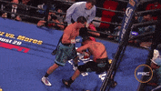 premier-boxing-champions tko danny garcia paulie malignaggi GIF