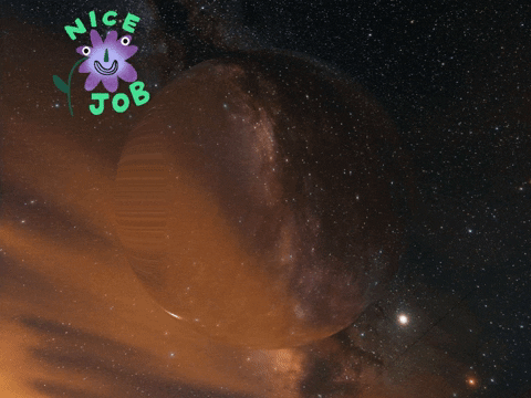 Germany Wow GIF by FranchiseCHECK.de
