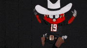 TexasTechRedRaiders texas tech red raiders raider red GIF