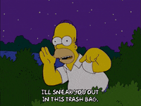 homer simpson GIF
