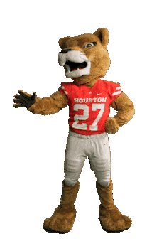 Romance Love Sticker by University of Houston