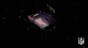 2018 nfl football GIF by NFL