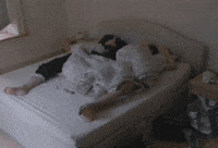 Sleep Jk GIF