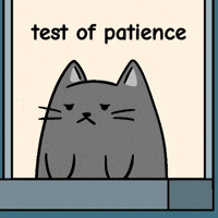Unimpressed Over It GIF by MESA My Emotional Support Animal
