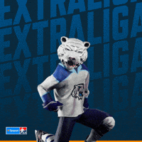 Hockey Hokej GIF by Tipsport extraliga