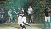 Focus Pitching GIF by Black Rickers Baseball Softball Club