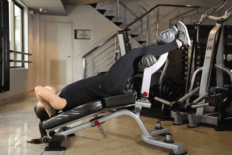 fisiculturismo giphyupload abs musculacao exercicio GIF