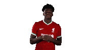 France Football Sticker by Liverpool FC