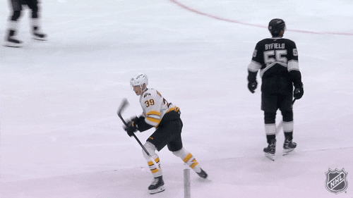 Happy Boston Bruins GIF by NHL