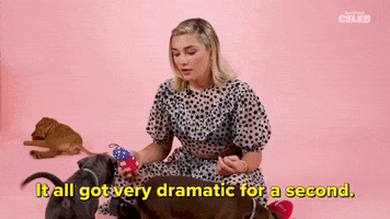 Florence Pugh The Puppy Interview GIFs - Find & Share on GIPHY