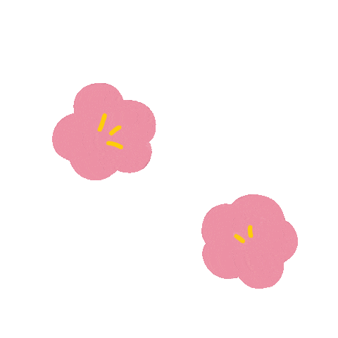 Cherry Blossom Spring Sticker