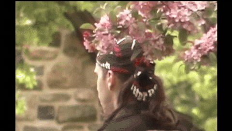 Vote GIF by Jerry Tremblay