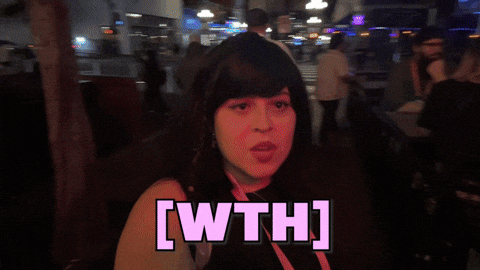 What The Hell Wtf GIF