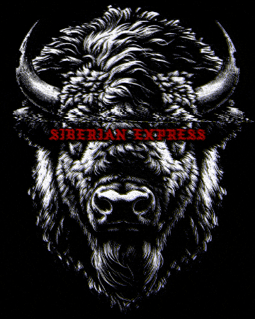 Snow Snowboard GIF by Monster Energy