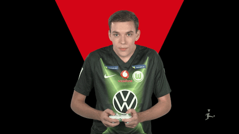 Vfl Wolfsburg Fifa GIF by Bundesliga