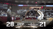 GIF by UCF Knights