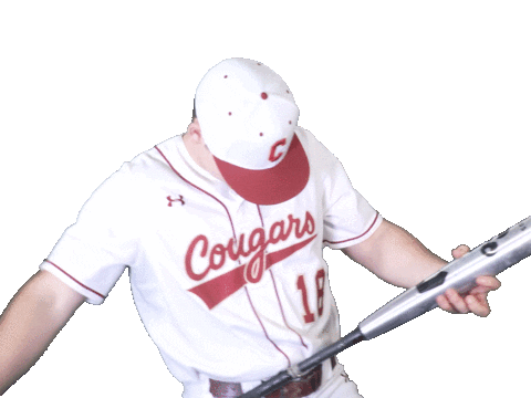 Cofcbaseball Sticker by #TheCollege