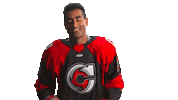 Hockey Echl Sticker by Cincinnati Cyclones