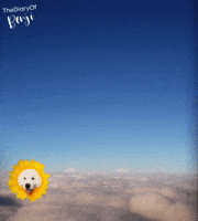 Sun Sol GIF