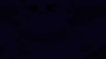 meowtinz reaction cat meme furry GIF