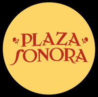 Festival Indierock GIF by Plaza Sonora