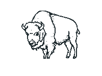 Wildlife Buffalo Sticker by Travel South Dakota