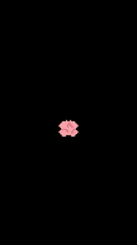 Yyd GIF