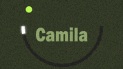 sauloft ball Camila bouncing ball GIF