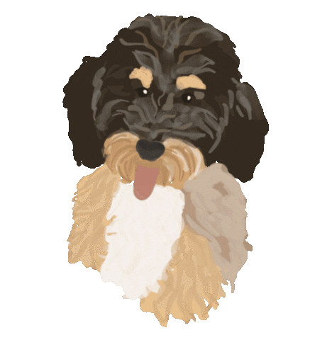 simplysophiedesigns giphyupload simply sophie designs Sticker