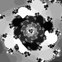 Loop Nft GIF by xponentialdesign