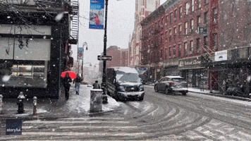 Heavy Snow Coats Brooklyn as Nor'easter Hits New York