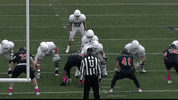 LafayetteLeopards football touchdown td lafayette GIF