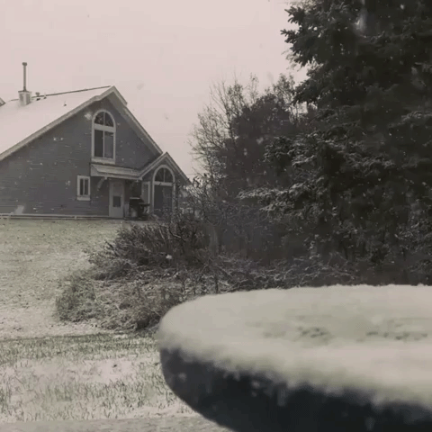 First Snow of the Year Blankets Areas of Minnesota