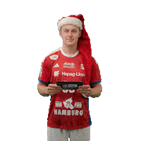 Handball Hamburg Sticker by DAIKIN HBL