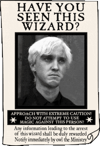 Harry Potter Magic GIF