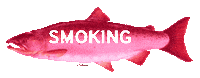 Rainbow Smoking Sticker