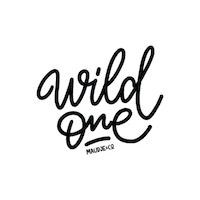 Maudjeandco cats kitten wild one maudjeandco Sticker