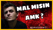 Allame GIF