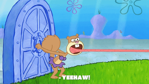 episode 1 GIF by SpongeBob SquarePants