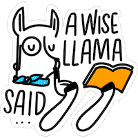 Heyholaspanish learning spanish learn llama Sticker