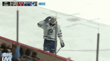 Happy Nhl Draft GIF by NHL