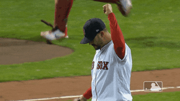 Major League Baseball Sport GIF by MLB