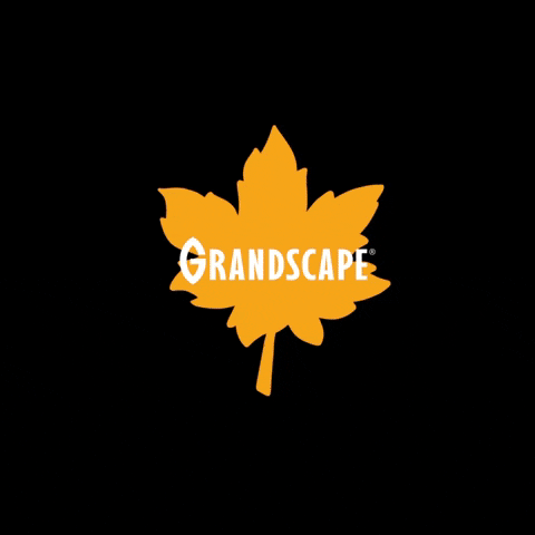 GIF by Grandscape