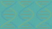 genetic testing kids GIF by Rewire.org