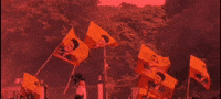 Power Star Flag GIF