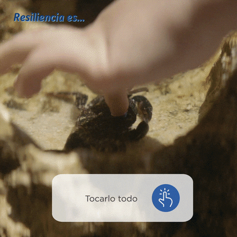 Almiclub  GIF