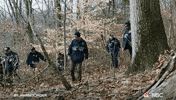 Episode 5 Nbc GIF by Law & Order
